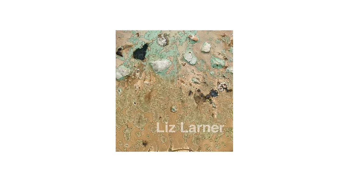 Liz Larner | 拾書所