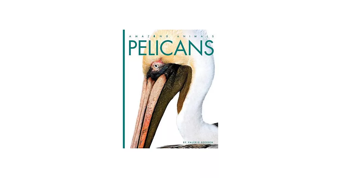 Pelicans | 拾書所