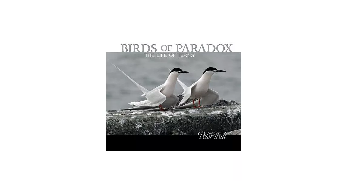 Birds of Paradox: The Life of Terns | 拾書所