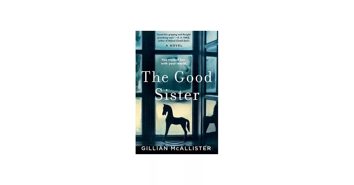 The Good Sister | 拾書所