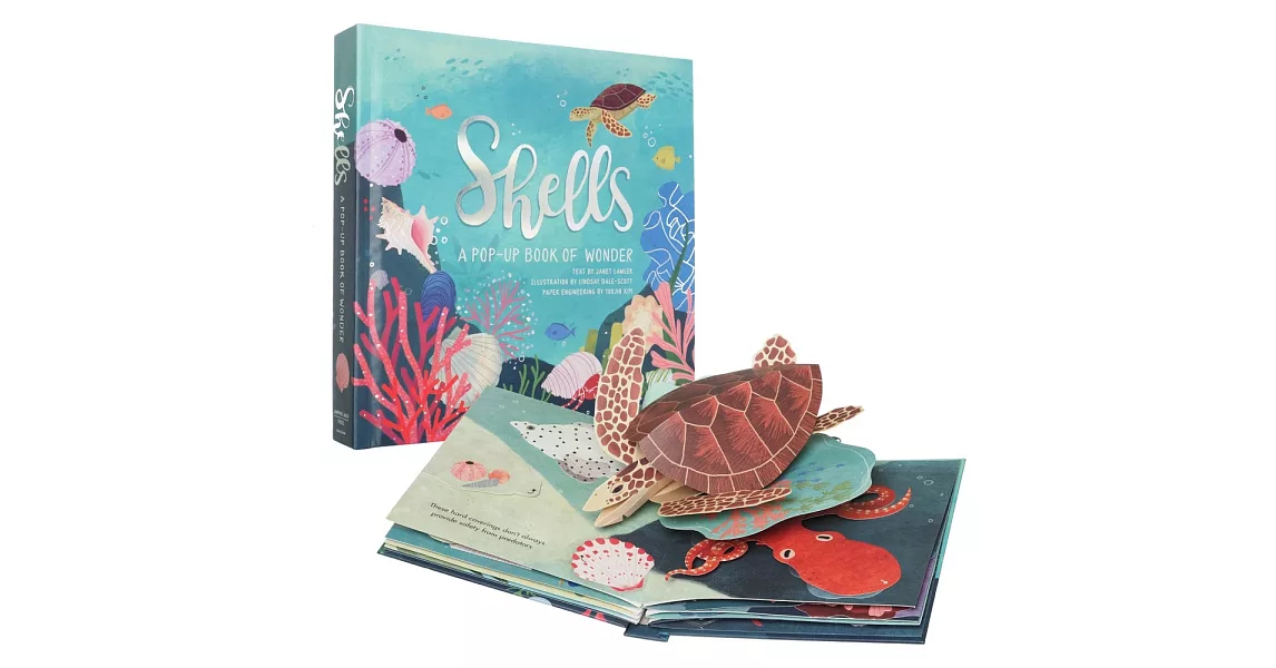 Shells: A Pop-up Book of Wonder | 拾書所