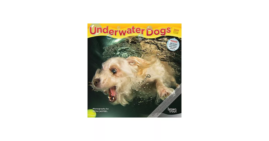 Underwater Dogs 2021 Mini 7x7 | 拾書所