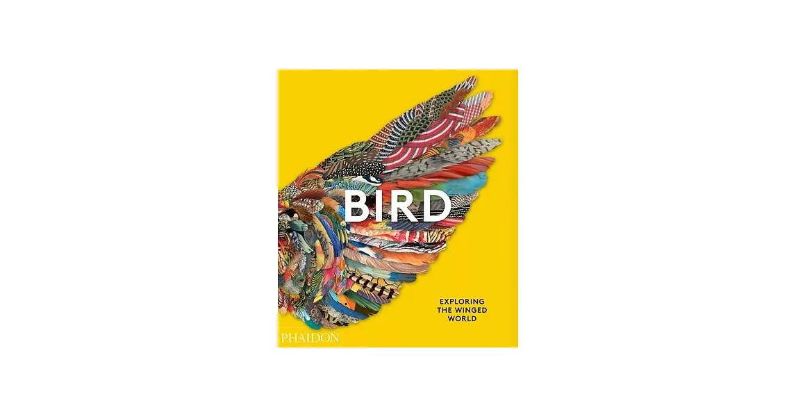 Bird: Exploring the Winged World | 拾書所