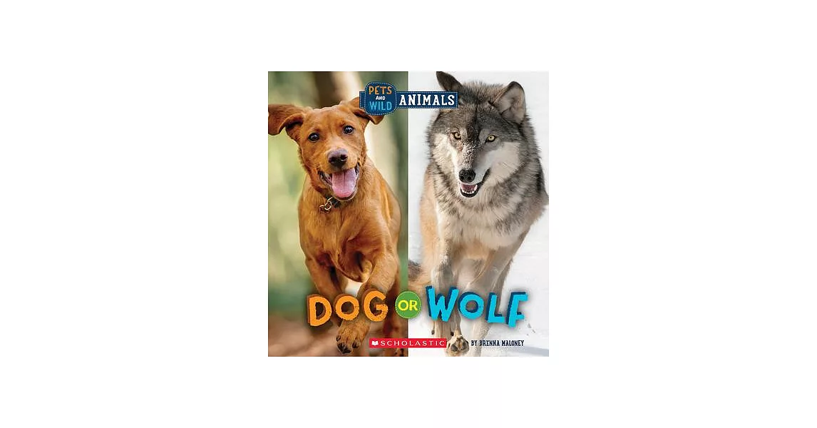 Dog or Wolf (Wild World: Pets and Wild Animals) | 拾書所