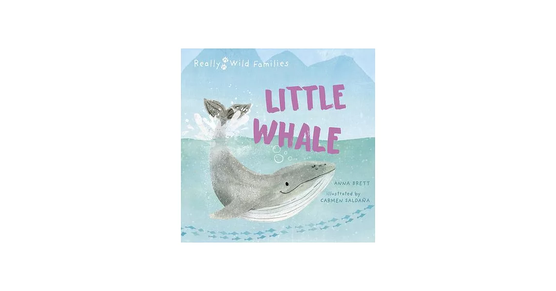 Little Whale: A Day in the Life of a Whale Calf | 拾書所