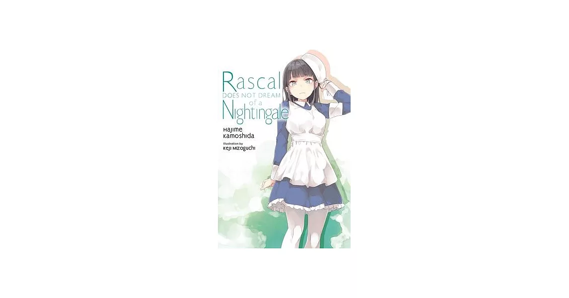 Rascal Does Not Dream, Vol. 11 (Light Novel) | 拾書所
