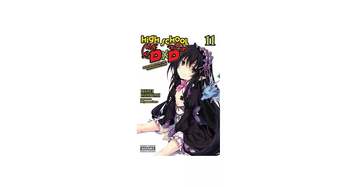 High School DXD, Vol. 11 (Light Novel) | 拾書所