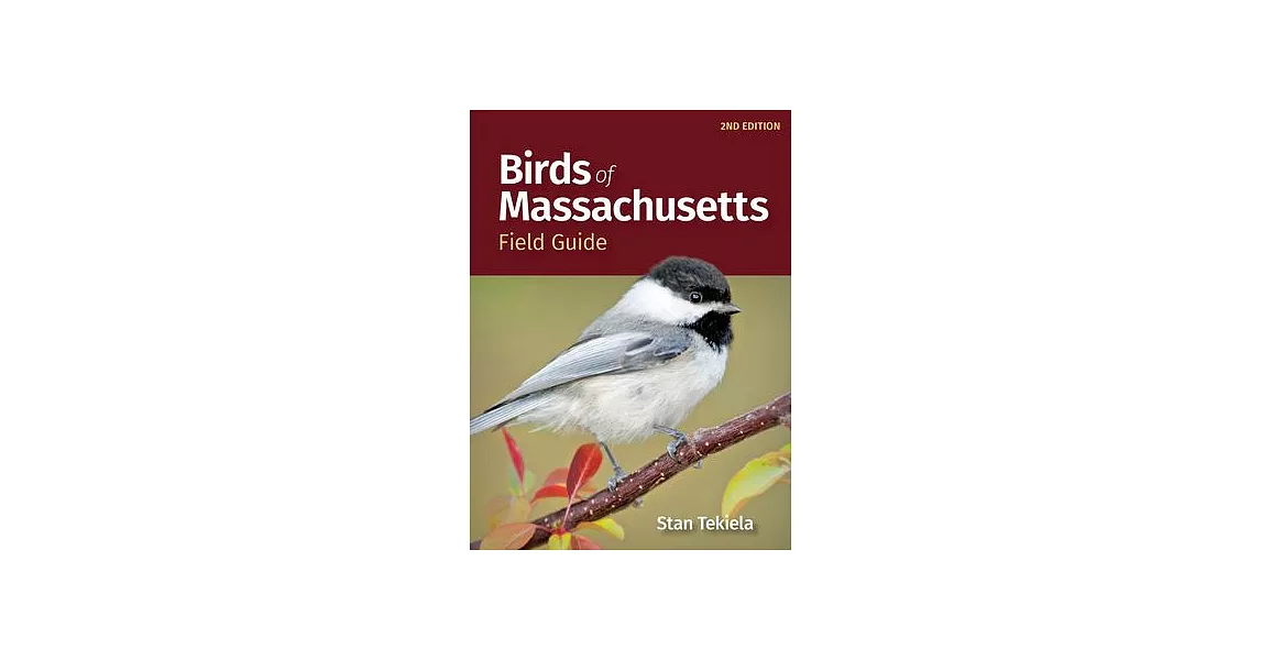 Birds of Massachusetts Field Guide | 拾書所