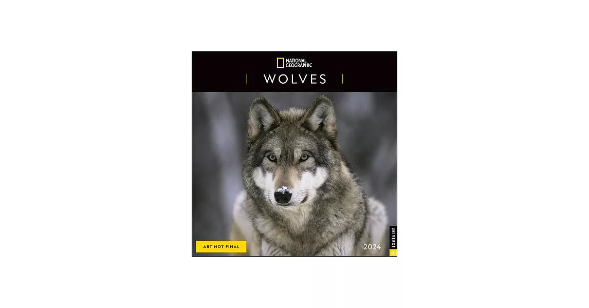 National Geographic: Wolves 2024 Wall Calendar | 拾書所