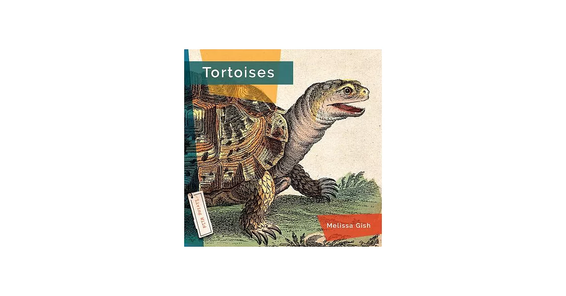 Tortoises | 拾書所