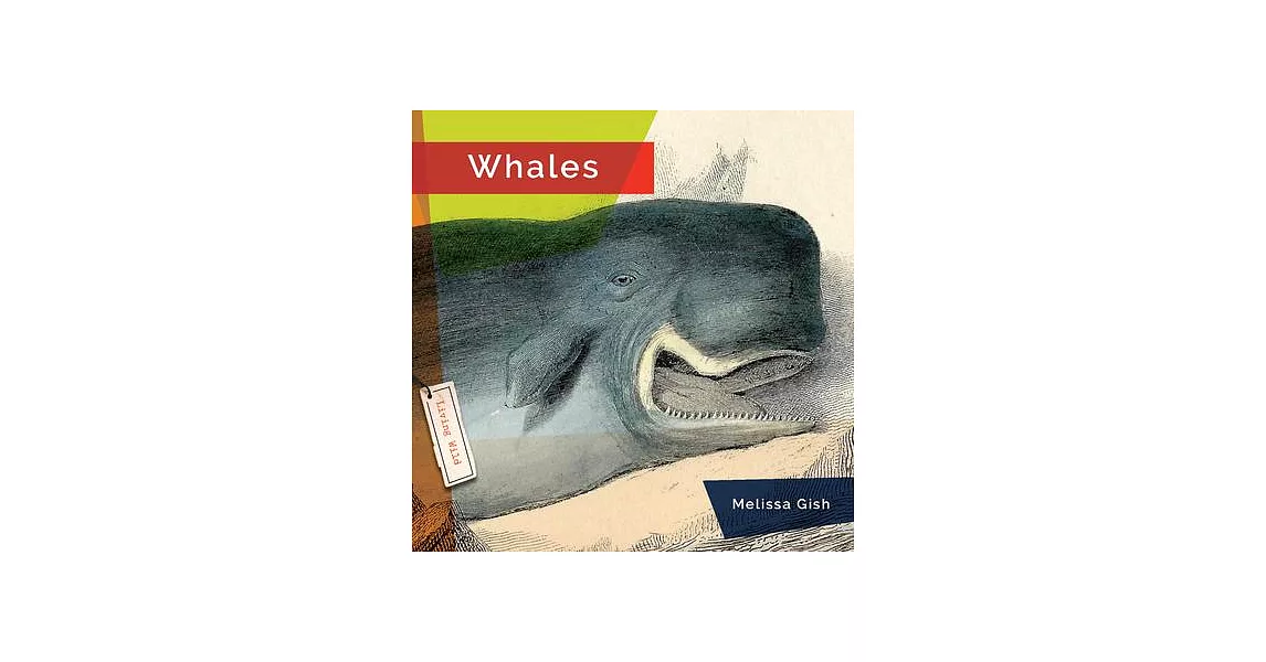 Whales | 拾書所