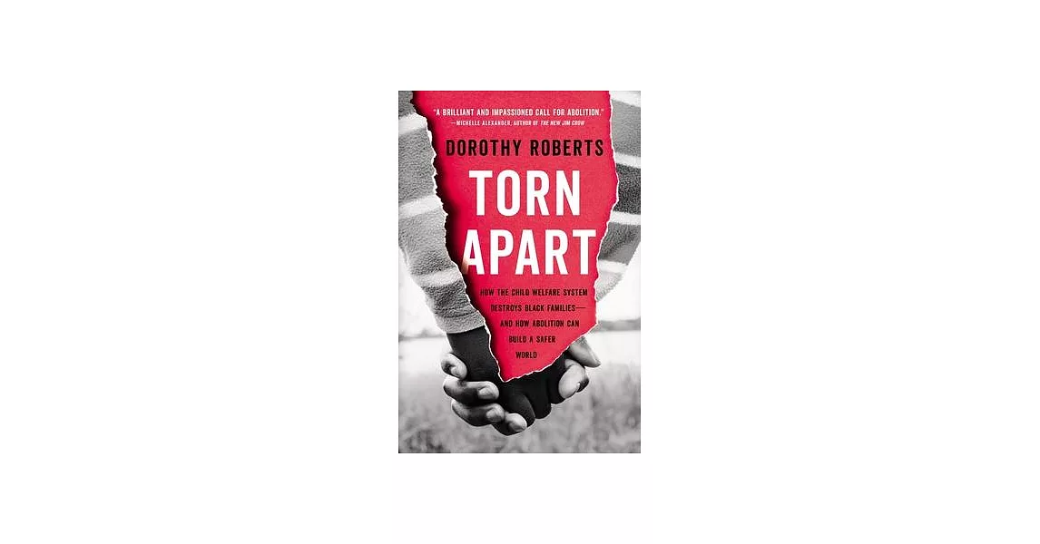 Torn Apart: How the Child Welfare System Destroys Black Families--And How Abolition Can Build a Safer World | 拾書所