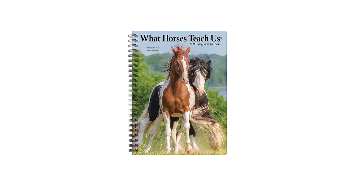 What Horses Teach Us 2024 6.5 X 8.5 Engagement Calendar | 拾書所