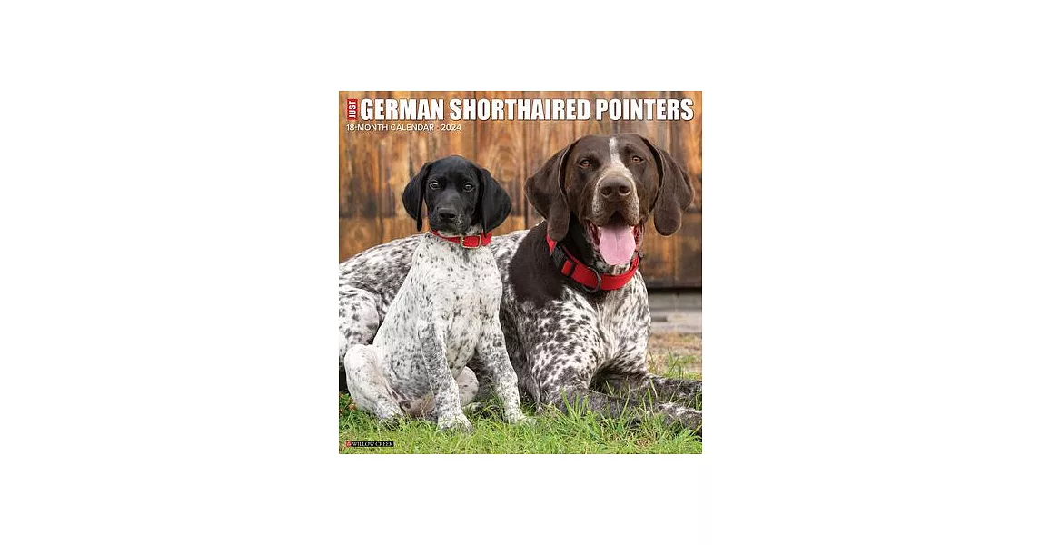 Just German Shorthaired Pointers 2024 12 X 12 Wall Calendar | 拾書所