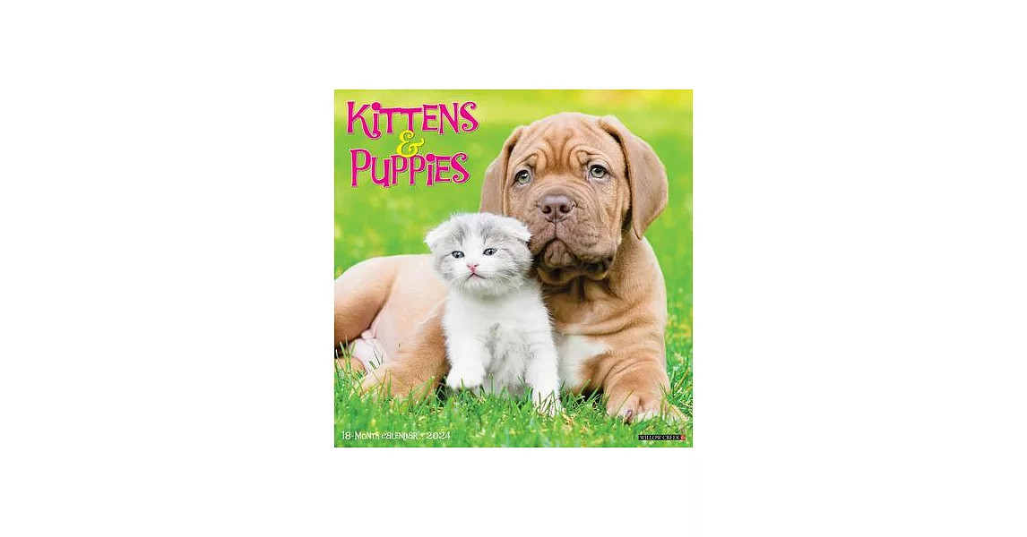 Kittens & Puppies 2024 12 X 12 Wall Calendar | 拾書所