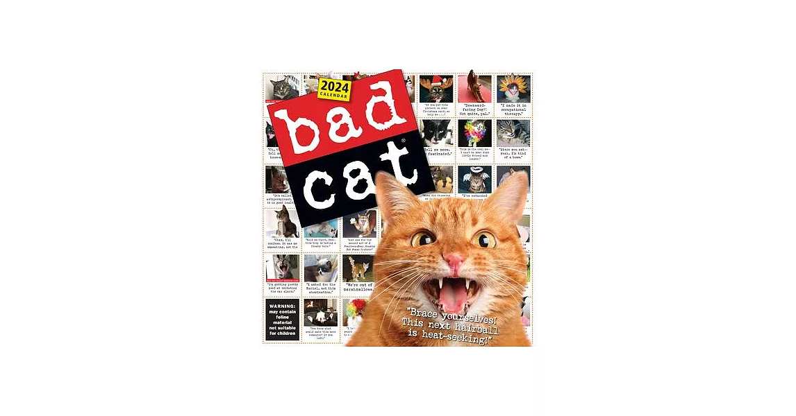 Bad Cat Wall Calendar 2024 | 拾書所