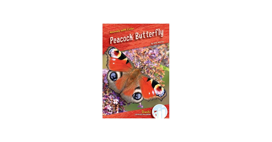 Peacock Butterfly | 拾書所