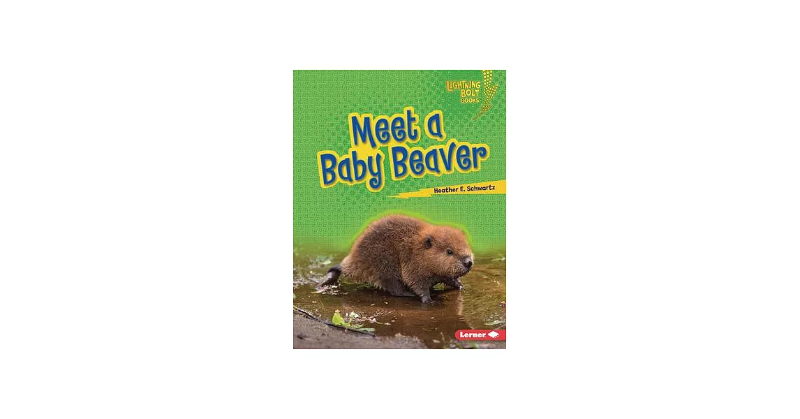 Meet a Baby Beaver | 拾書所