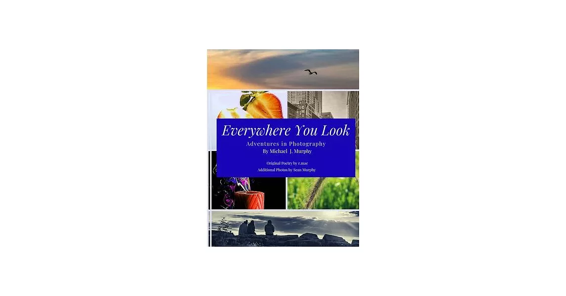 Everywhere You Look: Adventures in Photography | 拾書所