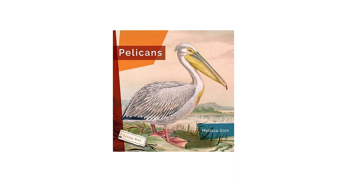 Pelicans | 拾書所