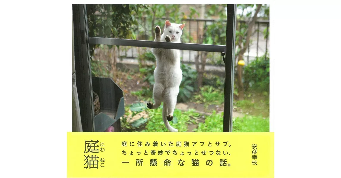 安彥幸枝攝影寫真集：庭貓 | 拾書所