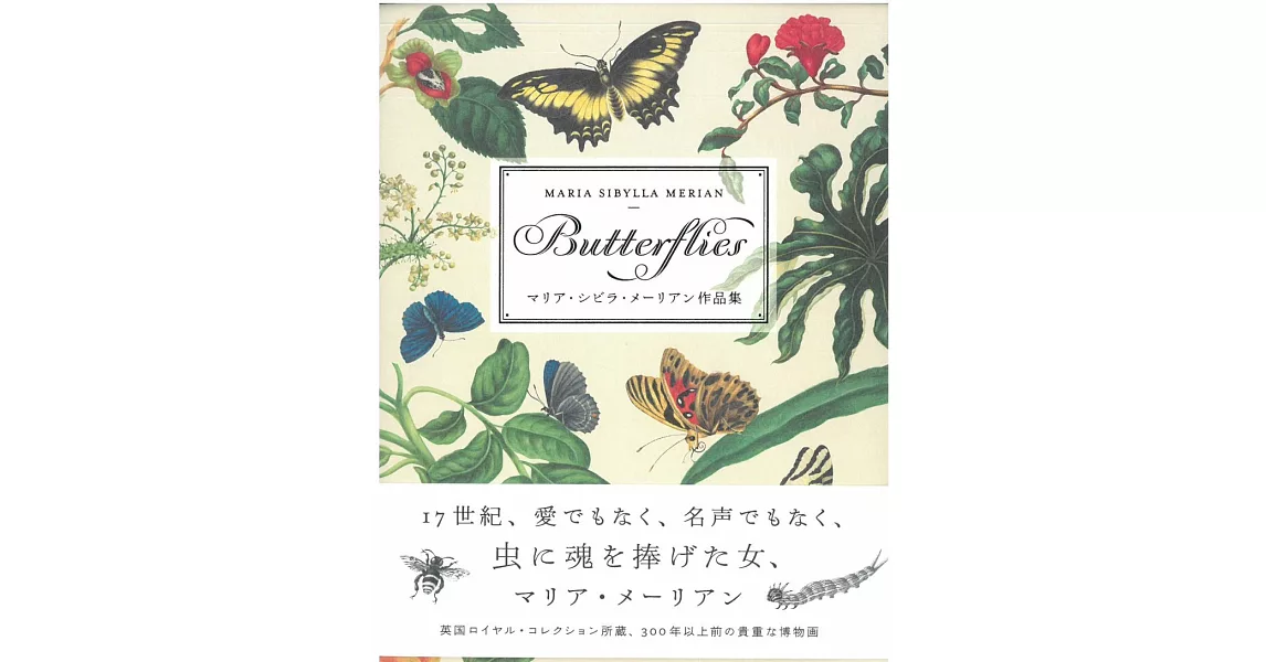瑪麗亞‧西碧拉‧梅里安作品集：Butterflies | 拾書所