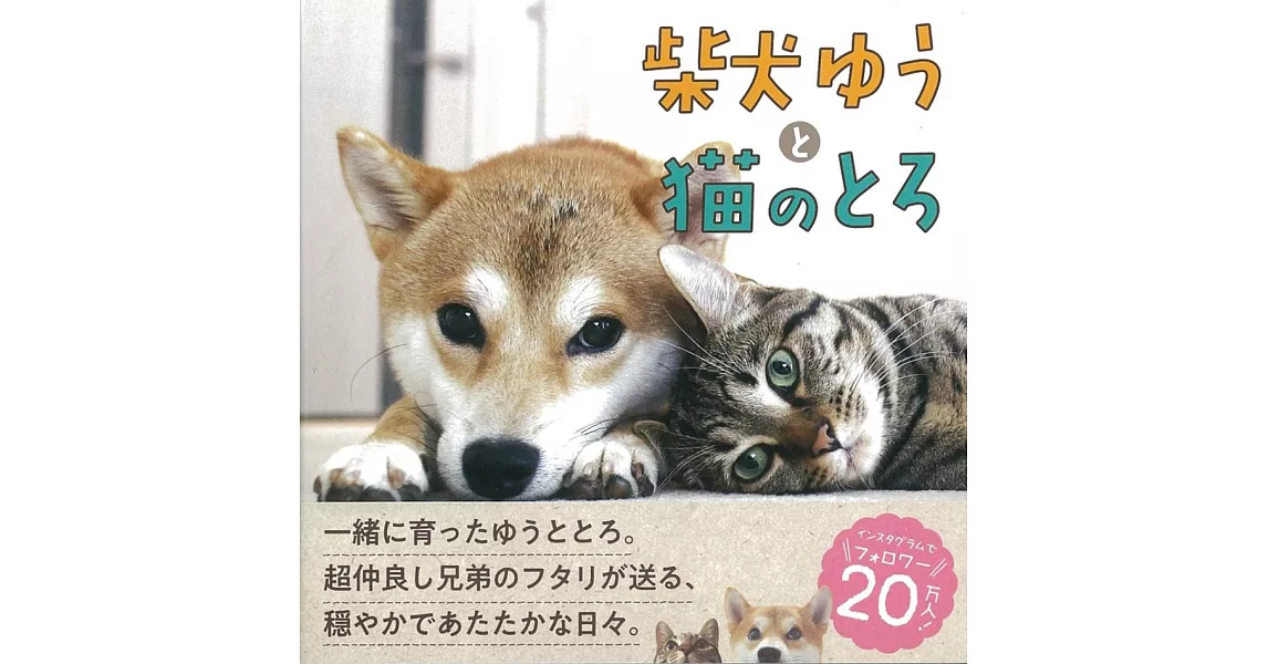 柴犬YU與貓TORO可愛寫真手冊 | 拾書所