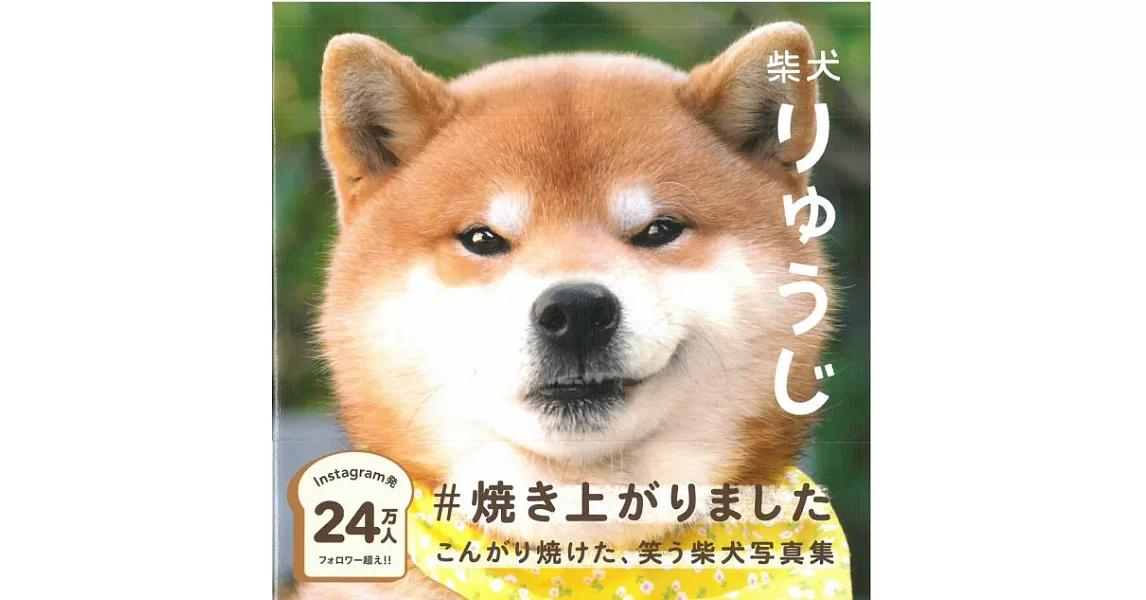 柴犬Ryuji可愛生活寫真手冊 | 拾書所