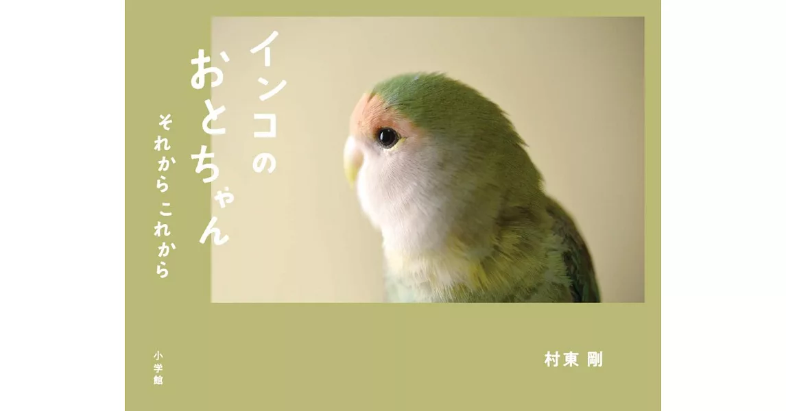 インコのおとちゃんそれからこれから | 拾書所