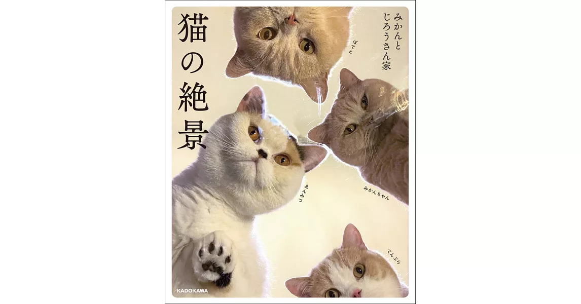 網路人氣貓咪蜜柑與次郎可愛生活寫真手冊：貓咪絕景 | 拾書所