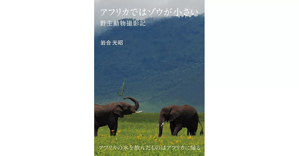 アフリカではゾウが小さい　野生動物撮影記 | 拾書所