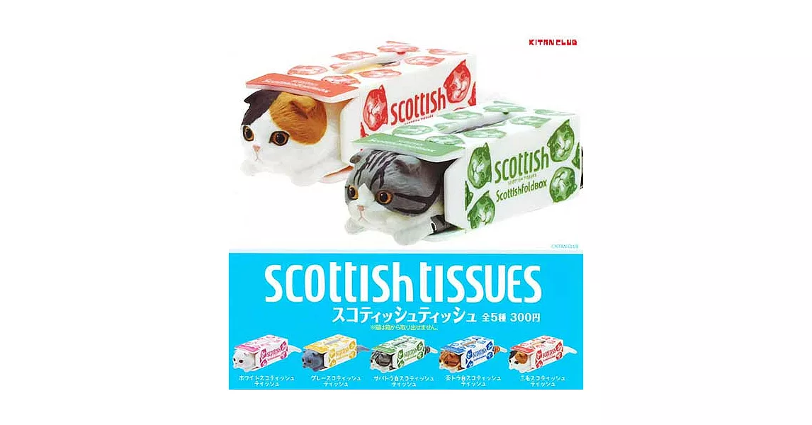 【日本進口正版】全套5款 蘇格蘭摺耳貓與衛生紙盒 擺飾 扭蛋 奇譚 KITAN