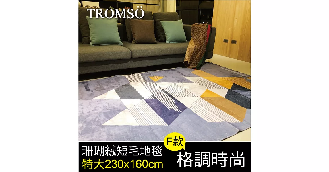 TROMSO珊瑚絨短毛地毯-特大F格調時尚230x160cm