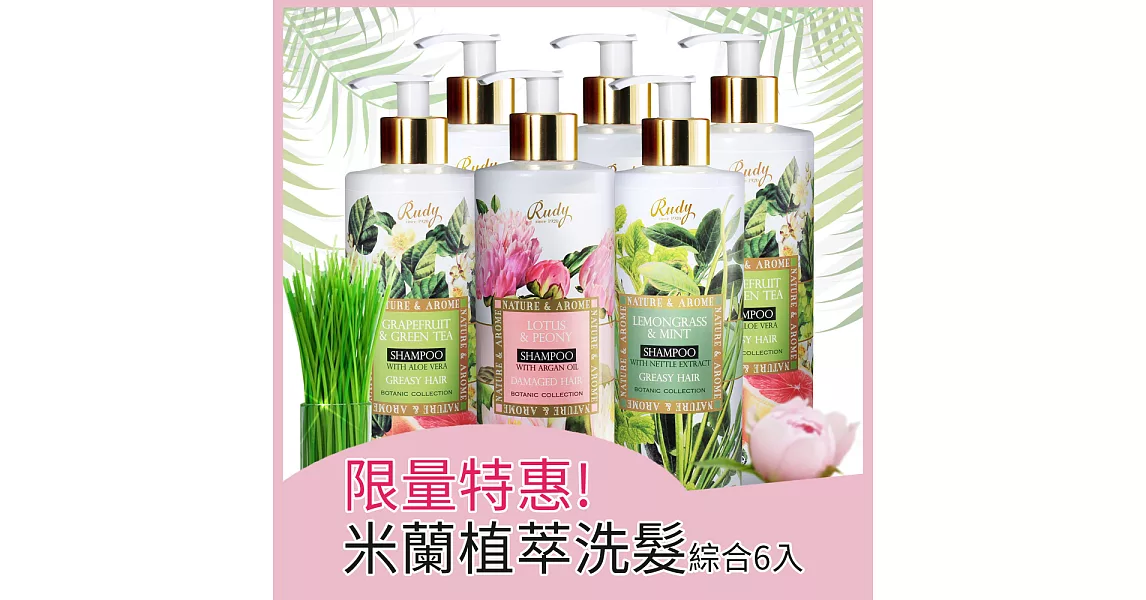 義大利Rudy草本柔亮控油健髮洗髮精500ml各2共六瓶組