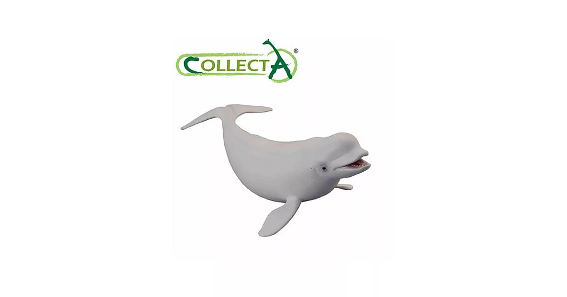 【CollectA】海洋系列 - 白鯨