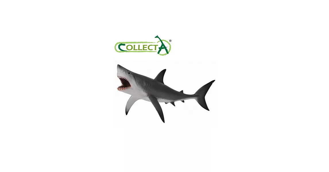【CollectA】海洋系列 - 大白鯊