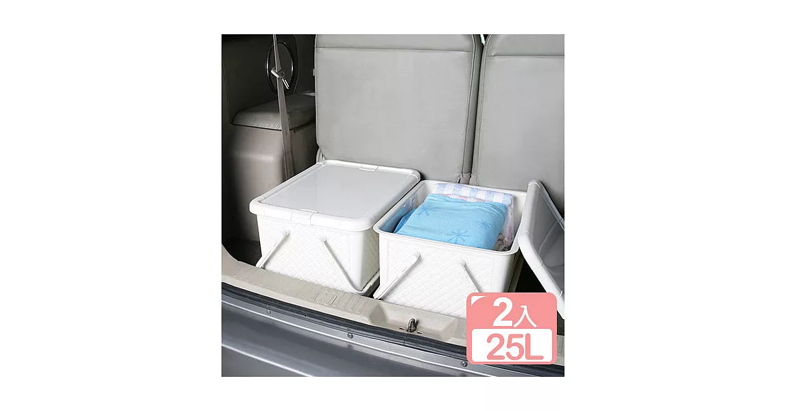 《真心良品》藤蔓風手提整理箱25L(2入) 時尚黑