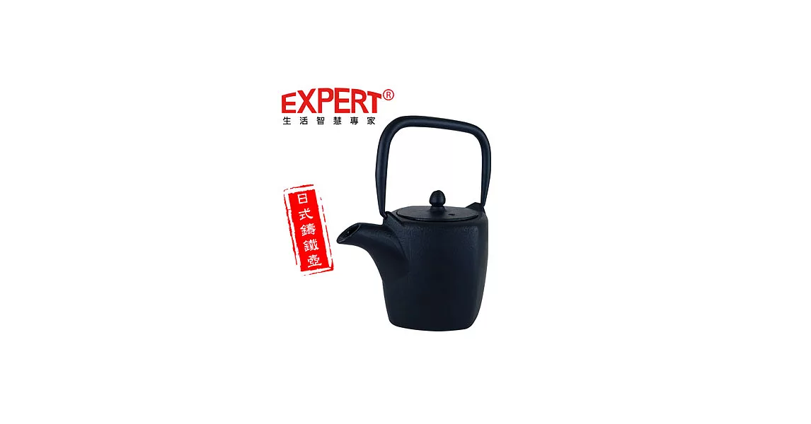 【EXPERT】生活智慧大師 - 君品鑄鐵茶壺 320ml TE-320