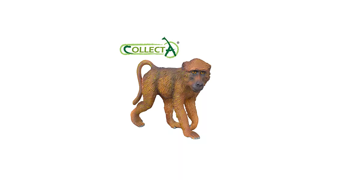 【CollectA】公狒狒