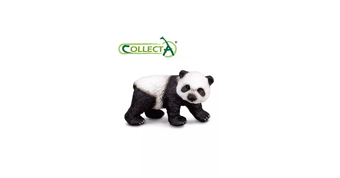 【CollectA】小熊貓(站)