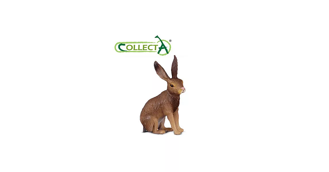 【CollectA】野兔