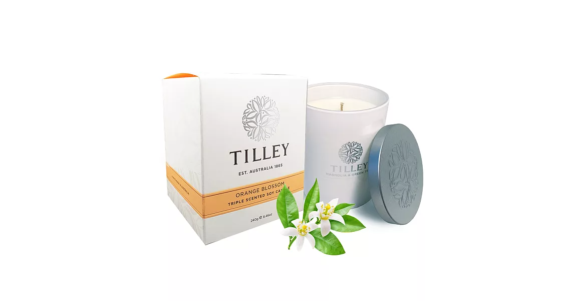 Tilley百年特莉 橙花香氛大豆蠟燭240g