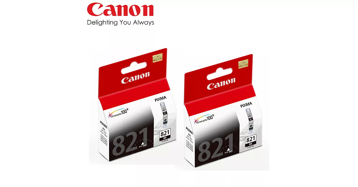 CANON PCLI-821BK 原廠淡黑色墨水匣超值組(2入)