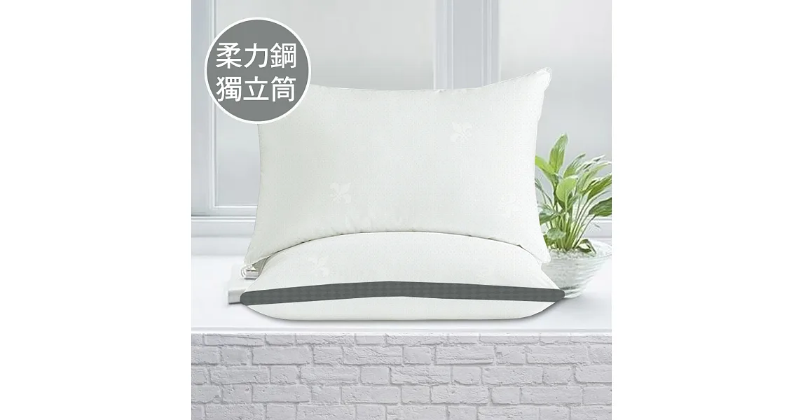 澳洲Simple Living 柔力鋼獨立筒釋壓彈力枕-二入(台灣製)