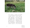https://im2.book.com.tw/image/getImage?i=https://www.books.com.tw/img/001/056/69/0010566987_b_07.jpg&v=50c9cf20k&w=655&h=609