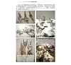 https://im2.book.com.tw/image/getImage?i=https://www.books.com.tw/img/001/071/41/0010714174_b_01.jpg&v=571f5f6bk&w=655&h=609