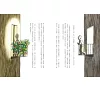 https://im2.book.com.tw/image/getImage?i=https://www.books.com.tw/img/001/080/58/0010805866_b_03.jpg&v=5bed4b00k&w=655&h=609