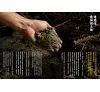 https://im2.book.com.tw/image/getImage?i=https://www.books.com.tw/img/001/086/76/0010867600_b_01.jpg&v=5f3fb070k&w=655&h=609