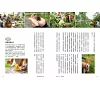 https://im2.book.com.tw/image/getImage?i=https://www.books.com.tw/img/001/086/76/0010867600_b_05.jpg&v=5f3fb064k&w=655&h=609