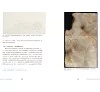 https://im2.book.com.tw/image/getImage?i=https://www.books.com.tw/img/001/087/43/0010874385_b_05.jpg&v=5f901bd3k&w=655&h=609